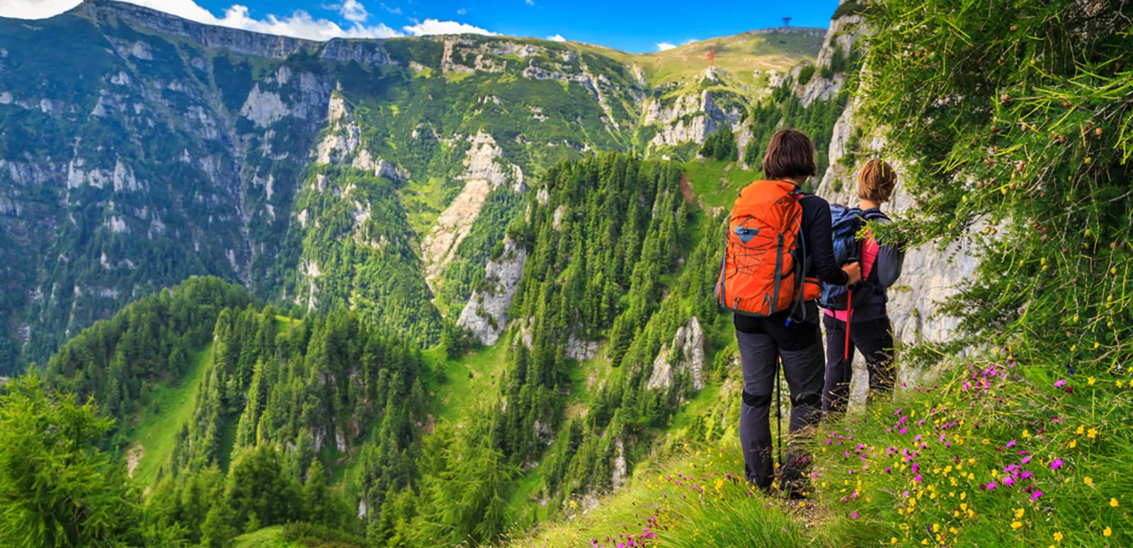 Valley of Flowers Trek