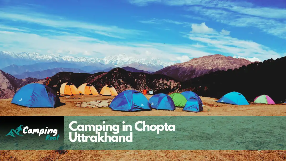 Chopta Camping Uttarakhand