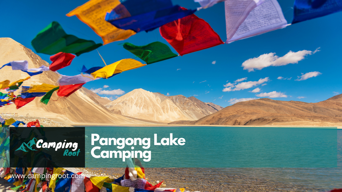 Pangong Lake Camping