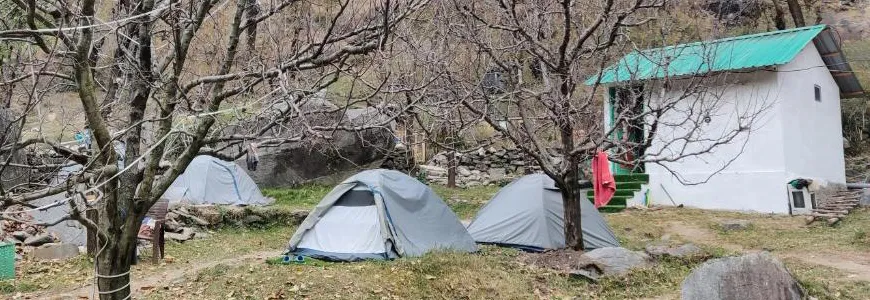 Riverside wooden huts & camps, campsite in Old Manali