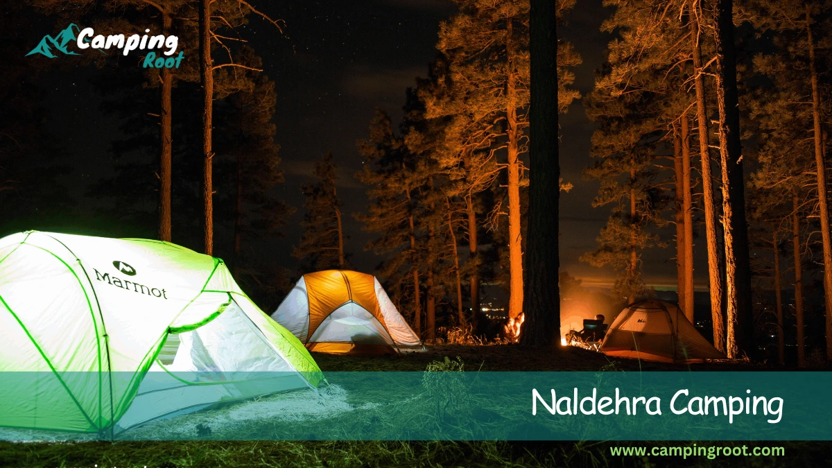 Naldehra Camping