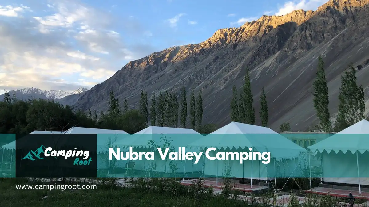 Nubra Valley Camping