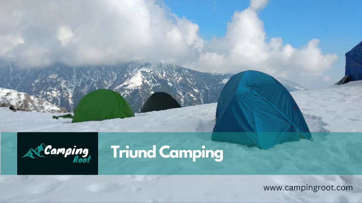 Triund Camping